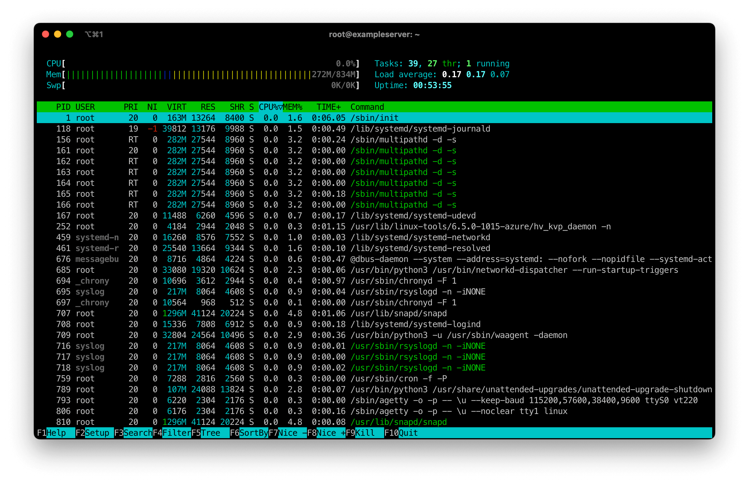 Screenshot of a Linux terminal showing the output of the htop command