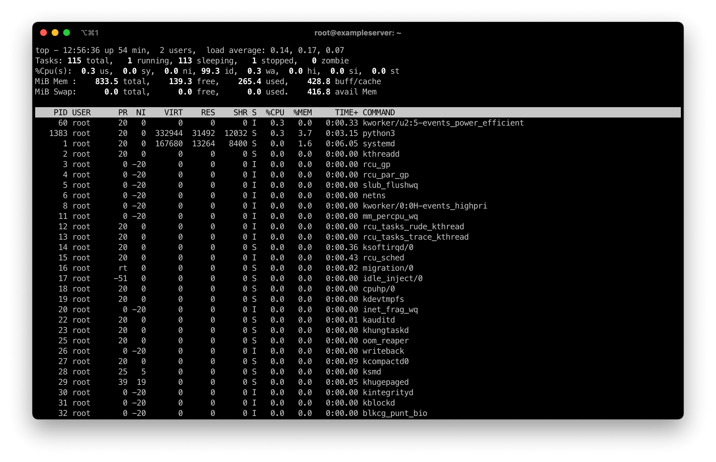 Screenshot of a Linux terminal showing the output of the top command